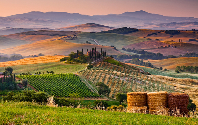 Una mágica ruta por la Toscana para disfrutar de un paisaje de ensueño con zonas boscosas rodeadas de olivos y lirios